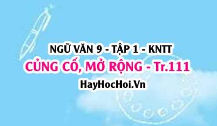Soạn bài Củng cố, mở rộng trang 111 Ngữ văn lớp 9 tập 1 Kết nối tri thức